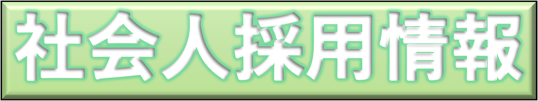 社会人採用情報